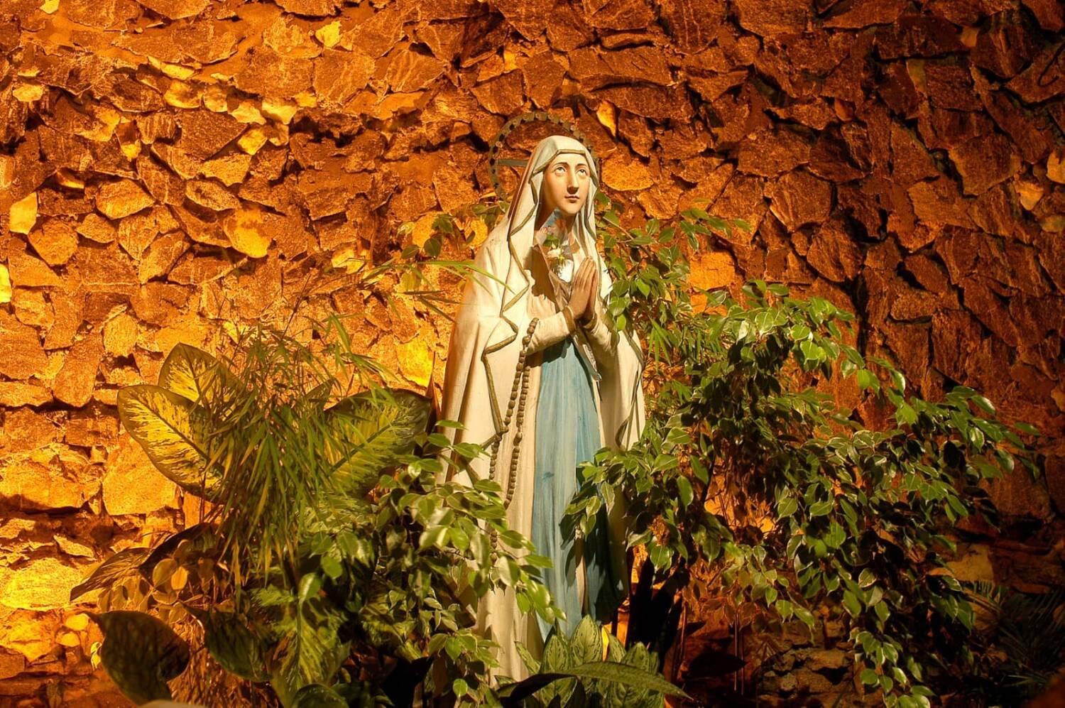 Iluminacao Pedro Martins (4)